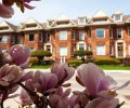 24-apartment-for-rent-in-chatham-kent